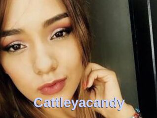 cattleyacandy Big Sexy Titties