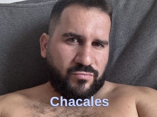 Chacales