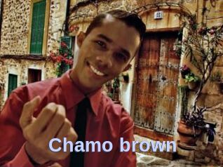 Chamo_brown