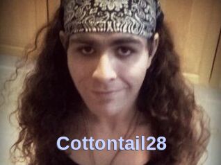 Cottontail28
