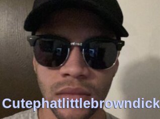 Cutephatlittlebrowndick