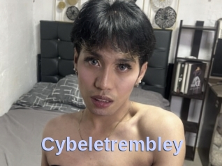 cybeletrembley Big Sexy Titties