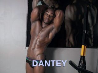 DANTE_Y