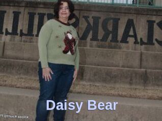 Daisy_Bear