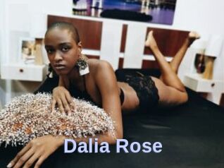 Dalia_Rose
