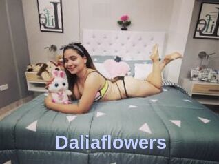 Daliaflowers