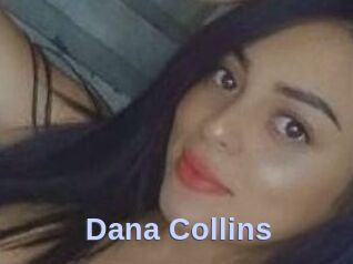 Dana_Collins