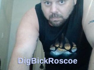 DigBickRoscoe