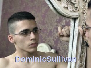 DominicSullivan