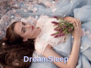 DreamSleep