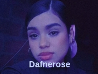Dafnerose