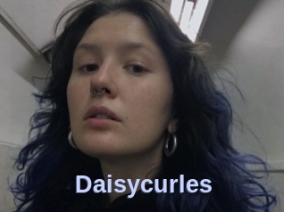 Daisycurles