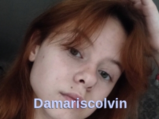 Damariscolvin