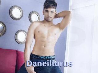 Daneil_torus