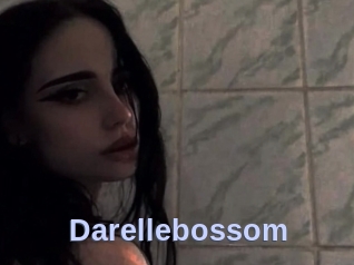 Darellebossom