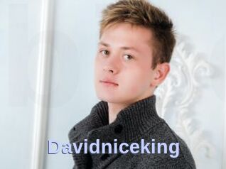 Davidniceking