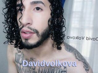 Davidvolkova