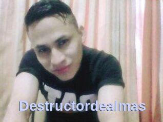 Destructordealmas