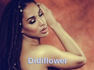 Didiflower