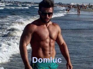 Domluc