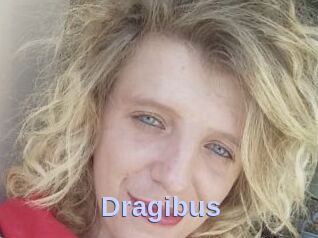 Dragibus