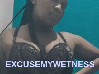 EXCUSEMYWETNESS