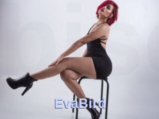 EvaBird