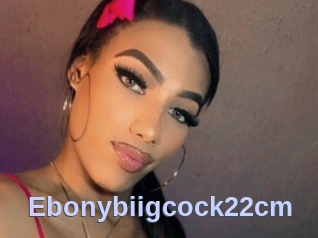 Ebonybiigcock22cm
