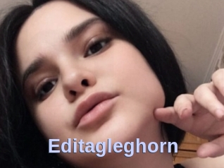 Editagleghorn