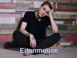 Eitonmouse