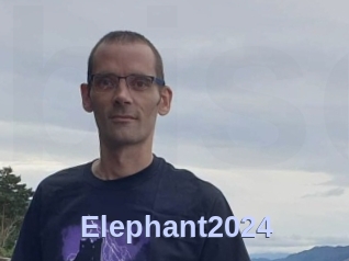 Elephant2024