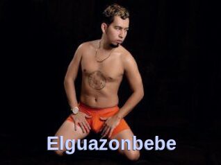 Elguazonbebe