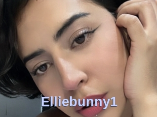 Elliebunny1