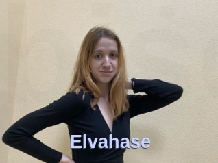 Elvahase