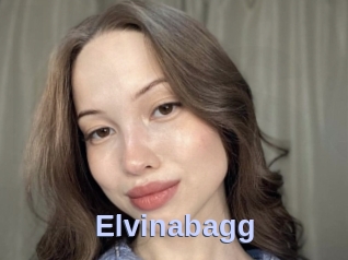 Elvinabagg