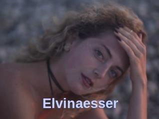 Elvinaesser