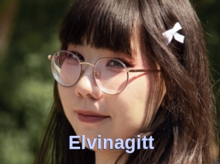 Elvinagitt