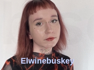 Elwinebuskey