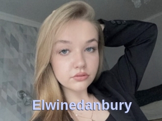 Elwinedanbury