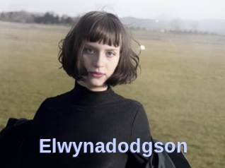 Elwynadodgson