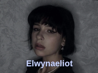 Elwynaeliot