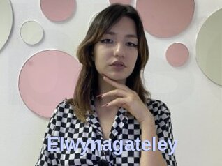 Elwynagateley