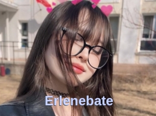 Erlenebate