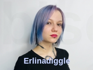 Erlinadiggle