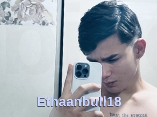 Ethaanbull18