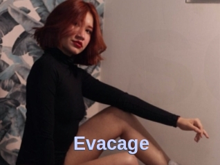 Evacage
