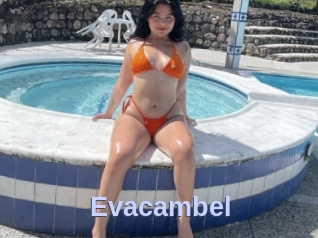 Evacambel