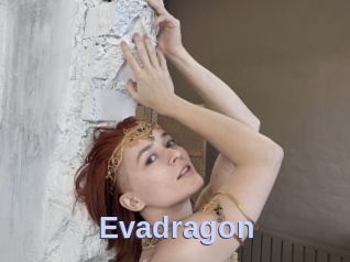 Evadragon