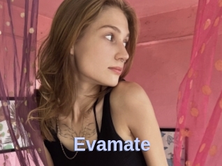 Evamate