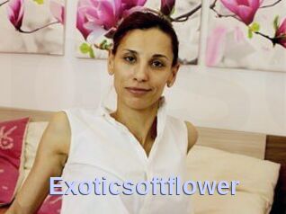 Exoticsoftflower
